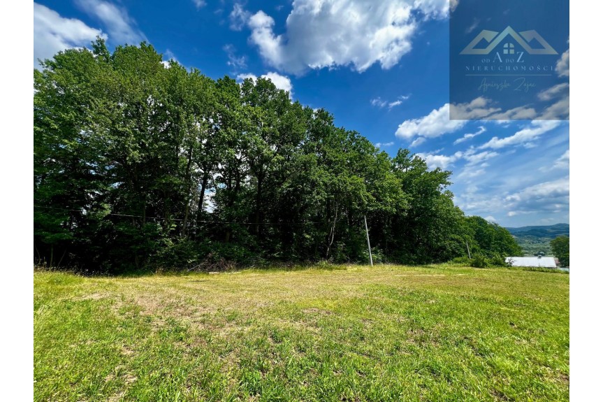 tarnowski, Wojnicz, Olszyny, Las mieszany z widokiem na g&oacute;ry