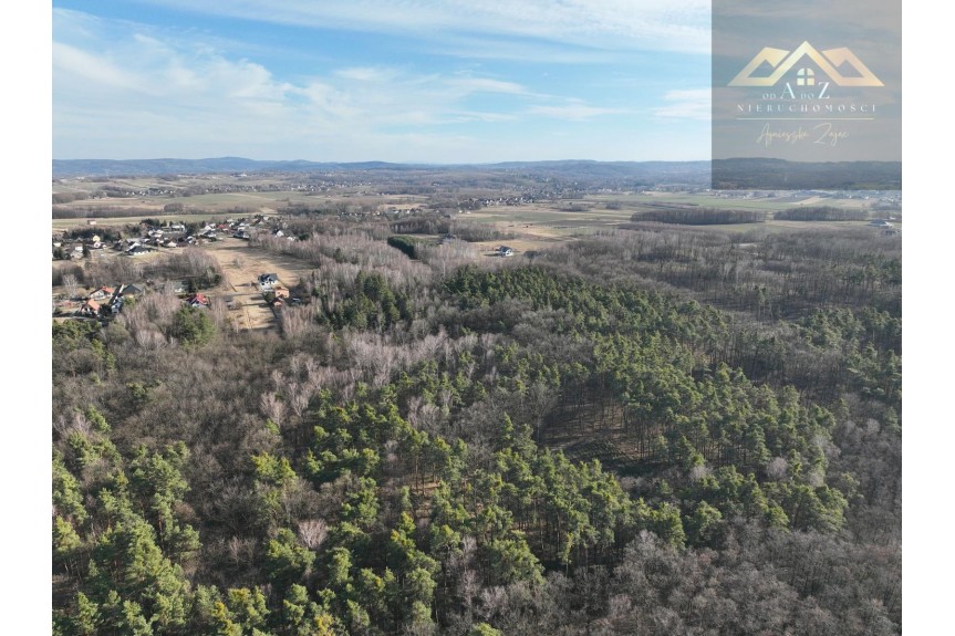 brzeski, Dębno, Perła, Stary las mieszany