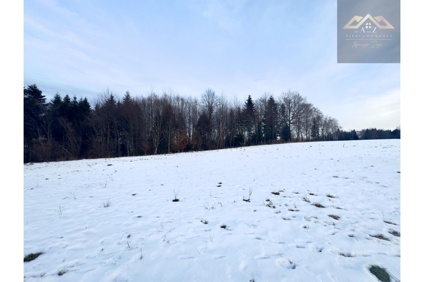 tarnowski, Pleśna, Lichwin, Widokowa działka Lichwin, gm. Pleśna, z widokiem na g&oacute;ry