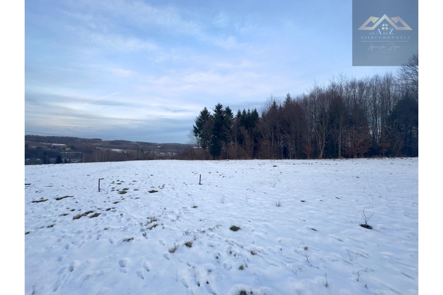 tarnowski, Pleśna, Lichwin, Widokowa działka Lichwin, gm. Pleśna, z widokiem na g&oacute;ry