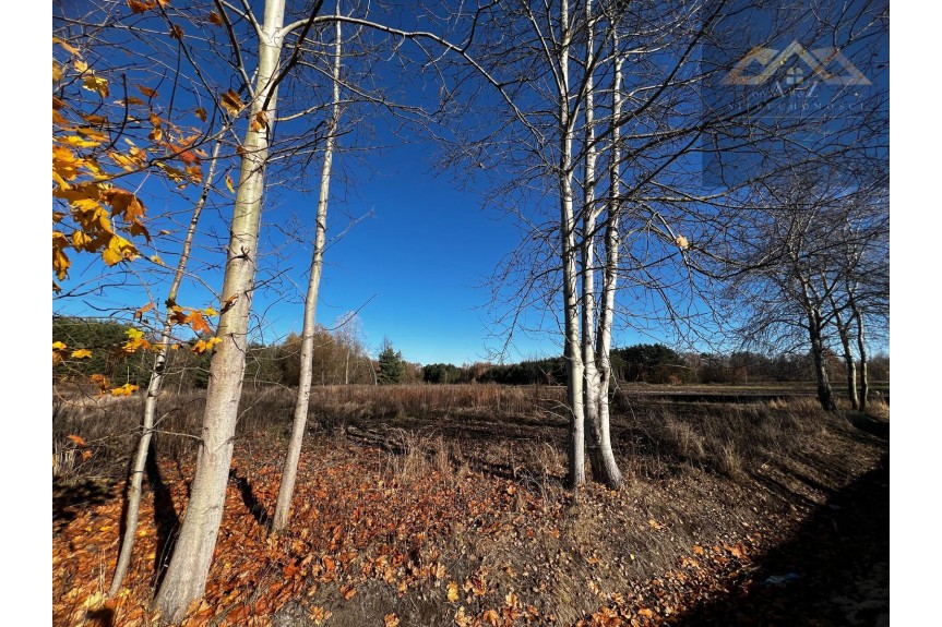 tarnowski, Lisia G&oacute;ra, Stare Żukowice, Na sprzedaż 4 działki z WZ pod inwestycję lub dla rodziny, blisko lasu.