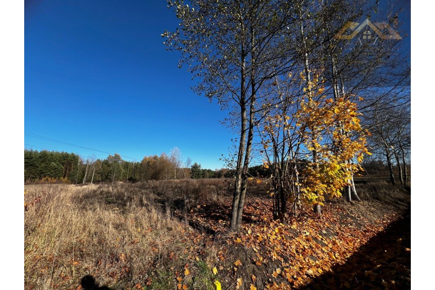 tarnowski, Lisia G&oacute;ra, Stare Żukowice, Na sprzedaż 4 działki z WZ pod inwestycję lub dla rodziny, blisko lasu.