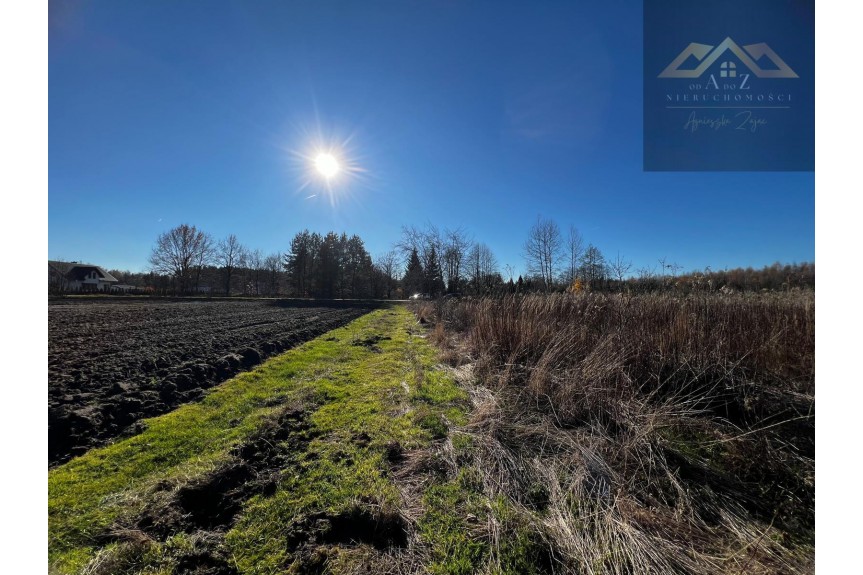tarnowski, Lisia G&oacute;ra, Stare Żukowice, Na sprzedaż 4 działki z WZ pod inwestycję lub dla rodziny, blisko lasu.