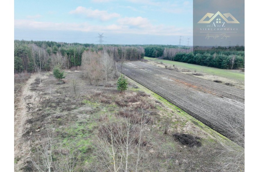 tarnowski, Lisia G&oacute;ra, Stare Żukowice, Na sprzedaż 4 działki z WZ pod inwestycję lub dla rodziny, blisko lasu.