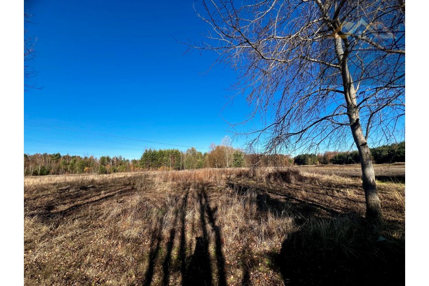 tarnowski, Lisia G&oacute;ra, Stare Żukowice, Na sprzedaż 4 działki z WZ pod inwestycję lub dla rodziny, blisko lasu.