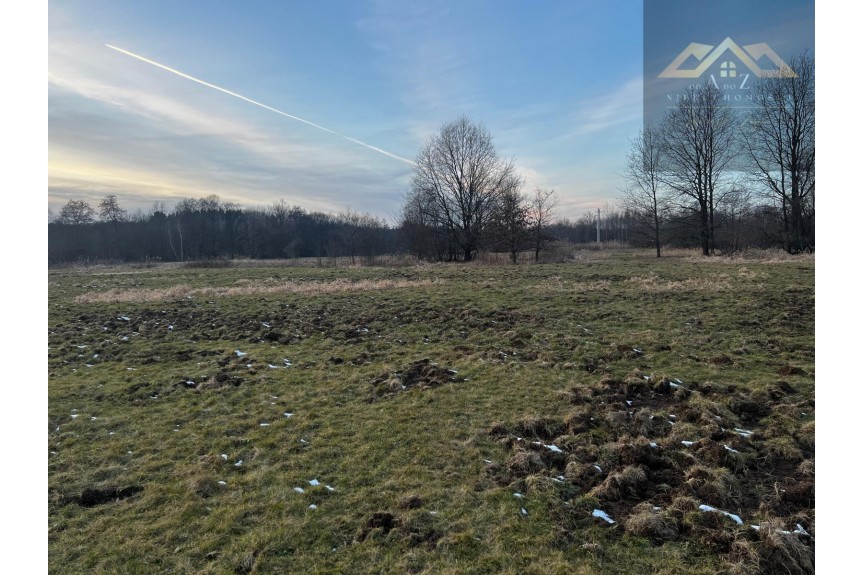 małopolskie, brzeski, Dębno, Perła, Działka rolna pod KRUS