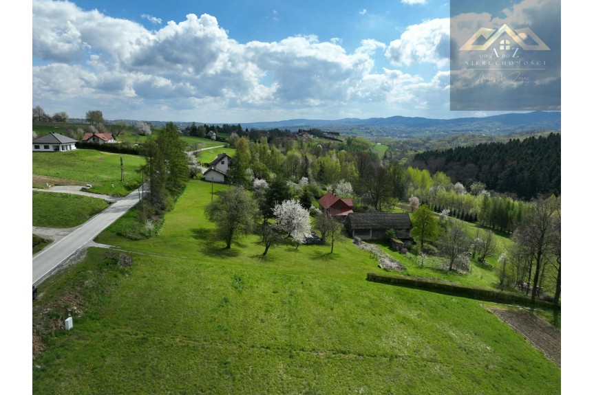 tarnowski, Tuch&oacute;w, Działka z widokiem na las