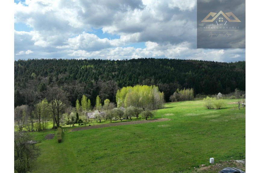 tarnowski, Tuch&oacute;w, Działka z widokiem na las