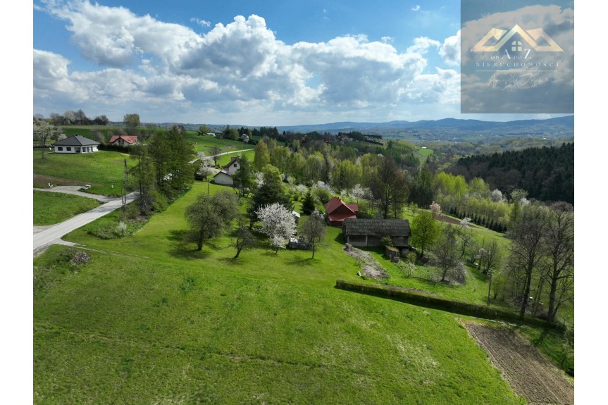 tarnowski, Tuch&oacute;w, Działka z widokiem na las