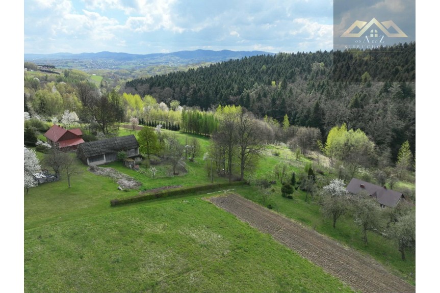 tarnowski, Tuch&oacute;w, Działka z widokiem na las