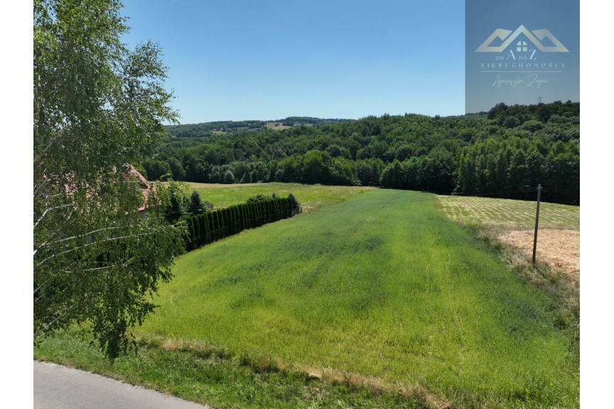 tarnowski, Skrzysz&oacute;w, Łękawica, Na sprzedaż działka 59 ar&oacute;w Łękawica k. Tarnowa