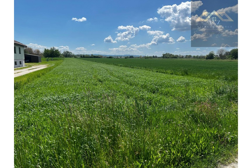 tarnowski, Wierzchosławice, Duża działka blisko Tarnowa, gm. Wierzchosławice