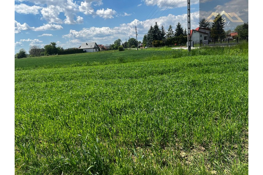 tarnowski, Wierzchosławice, Duża działka blisko Tarnowa, gm. Wierzchosławice