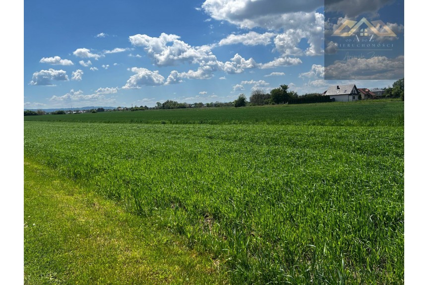 tarnowski, Wierzchosławice, Duża działka blisko Tarnowa, gm. Wierzchosławice