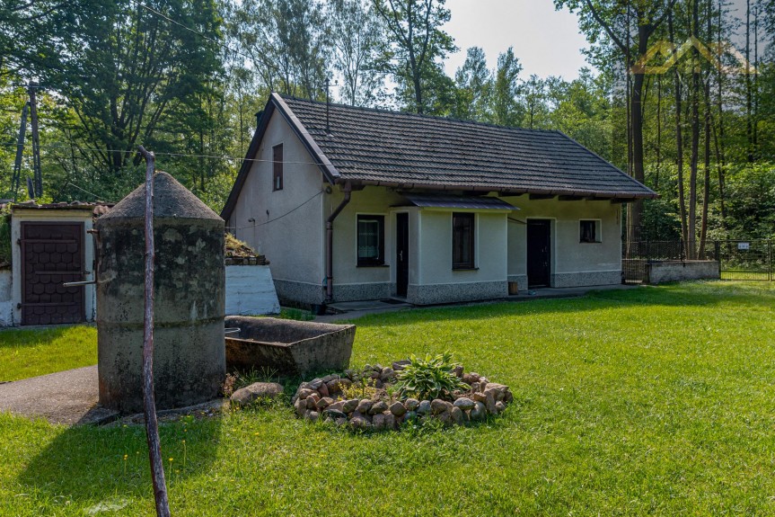 dąbrowski, Olesno, Wielopole, DOM Z BUDYNKAMI W LEŚNEJ OTULINIE