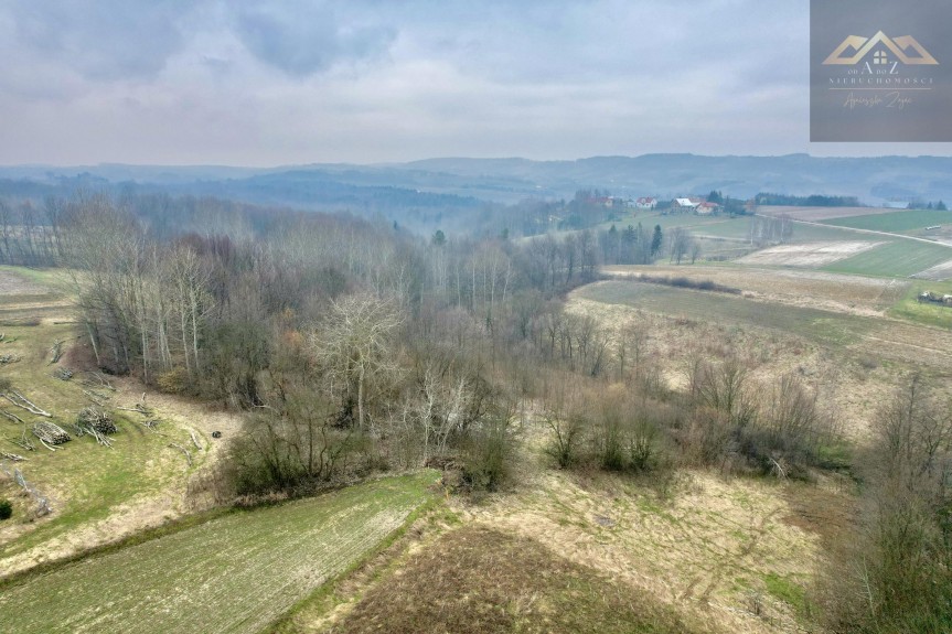 tarnowski, Ryglice, Kowalowa, Działka widokowa w Kowalowej
