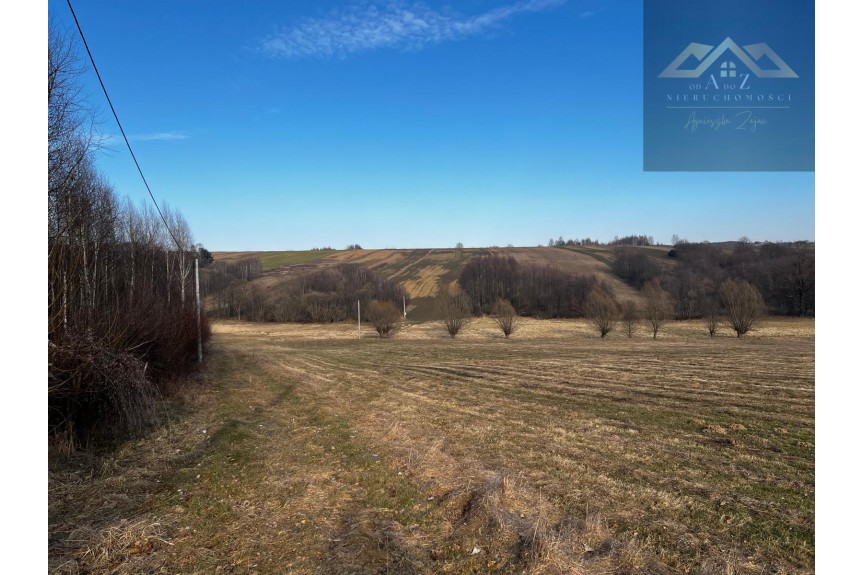 brzeski, Gnojnik, Grunty 3 ha pod agroturystykę, stawy, stadninę koni, zabudowę