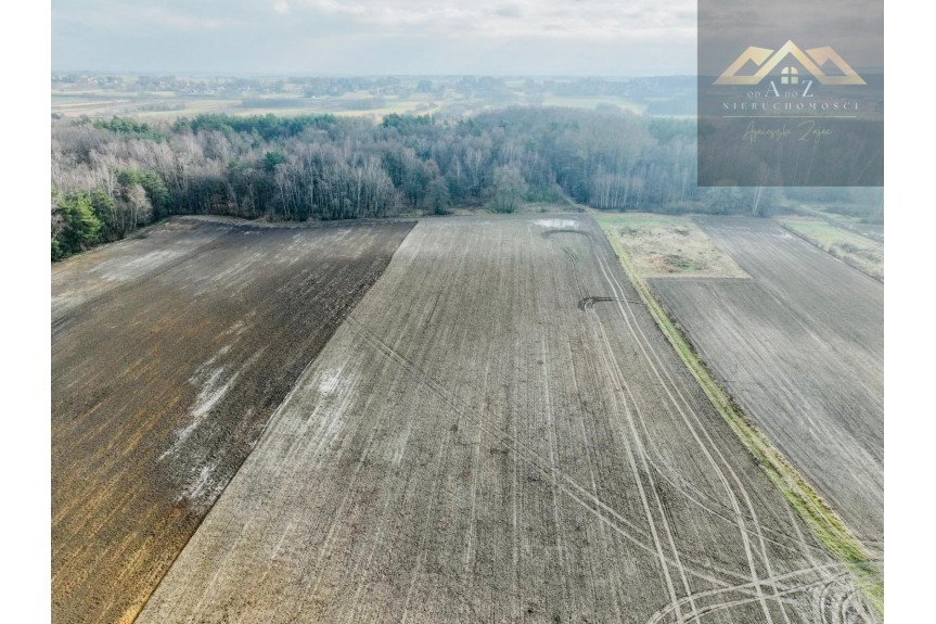 tarnowski, Lisia G&oacute;ra, Działka z lasem w atrakcyjnej lokalizacji