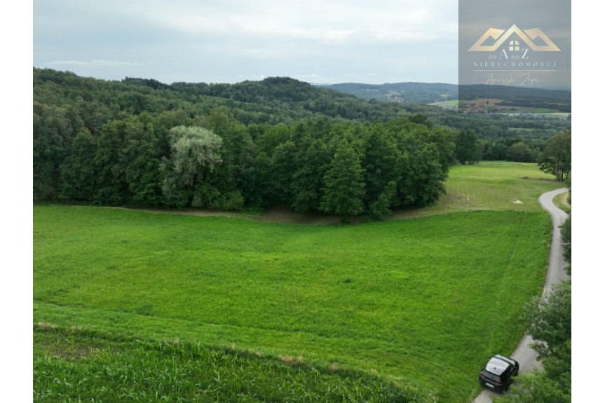 tarnowski, Skrzysz&oacute;w, Łękawica, Rolna działka powyżej ha