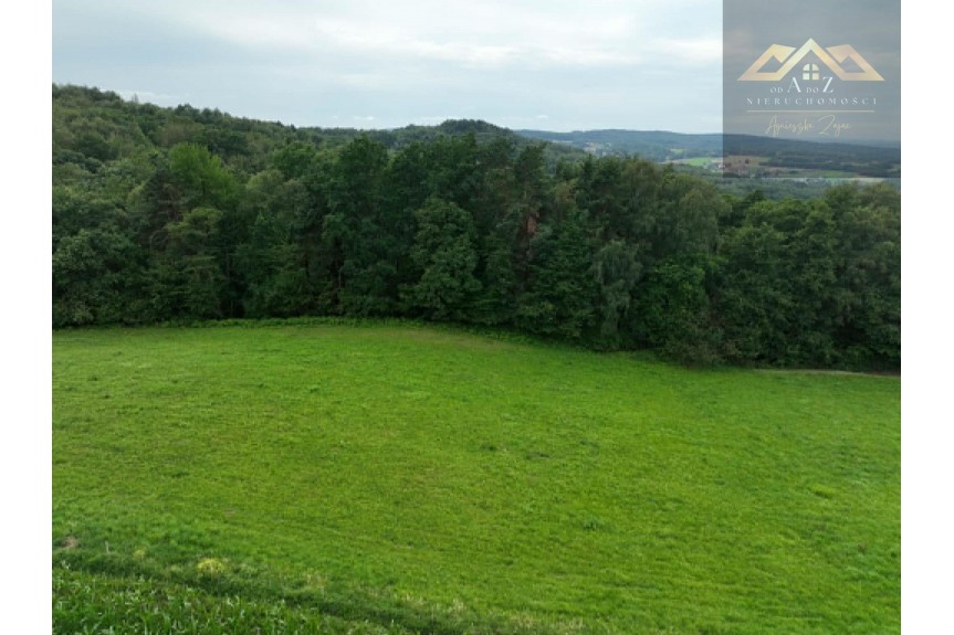 tarnowski, Skrzysz&oacute;w, Łękawica, Rolna działka powyżej ha