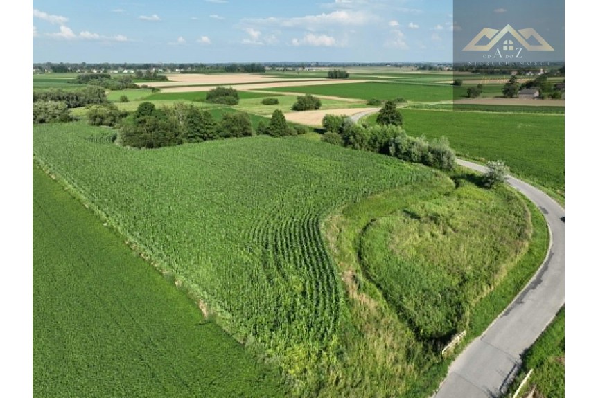 tarnowski, Wietrzychowice, Miechowice Małe, Działka rolna 80 ar&oacute;w w Miechowicach