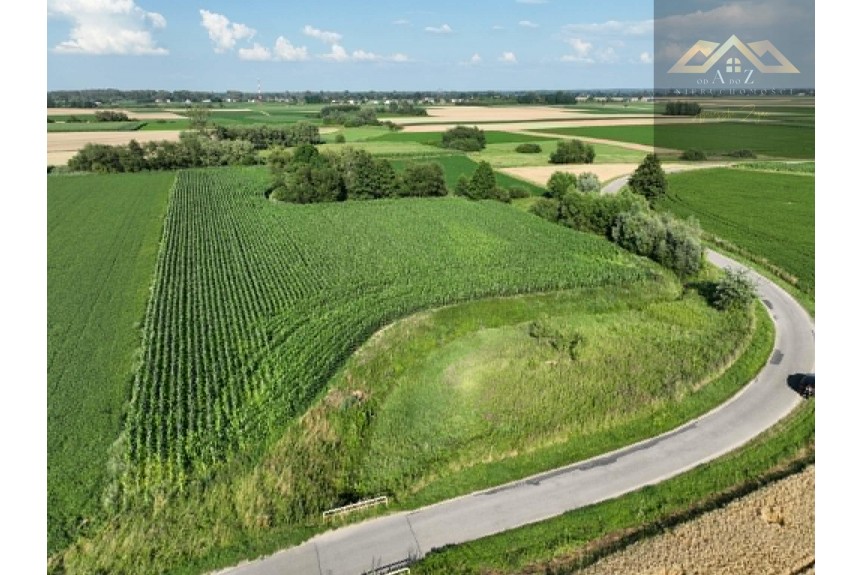 tarnowski, Wietrzychowice, Miechowice Małe, Działka rolna 80 ar&oacute;w w Miechowicach