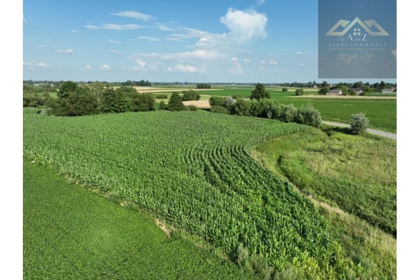 tarnowski, Wietrzychowice, Miechowice Małe, Działka rolna 80 ar&oacute;w w Miechowicach