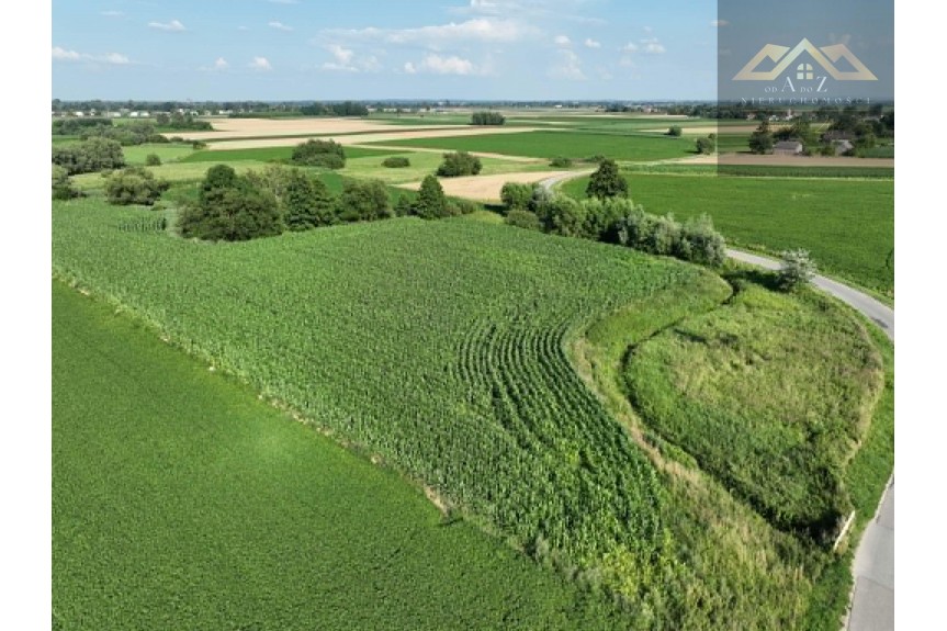 tarnowski, Wietrzychowice, Miechowice Małe, Działka rolna 80 ar&oacute;w w Miechowicach