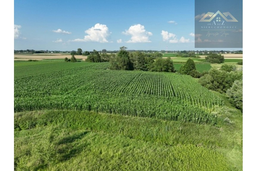 tarnowski, Wietrzychowice, Miechowice Małe, Działka rolna 80 ar&oacute;w w Miechowicach