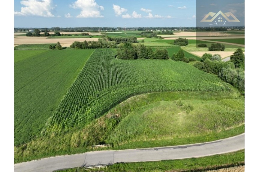 tarnowski, Wietrzychowice, Miechowice Małe, Działka rolna 80 ar&oacute;w w Miechowicach