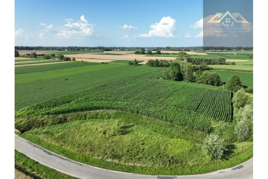 tarnowski, Wietrzychowice, Miechowice Małe, Działka rolna 80 ar&oacute;w w Miechowicach