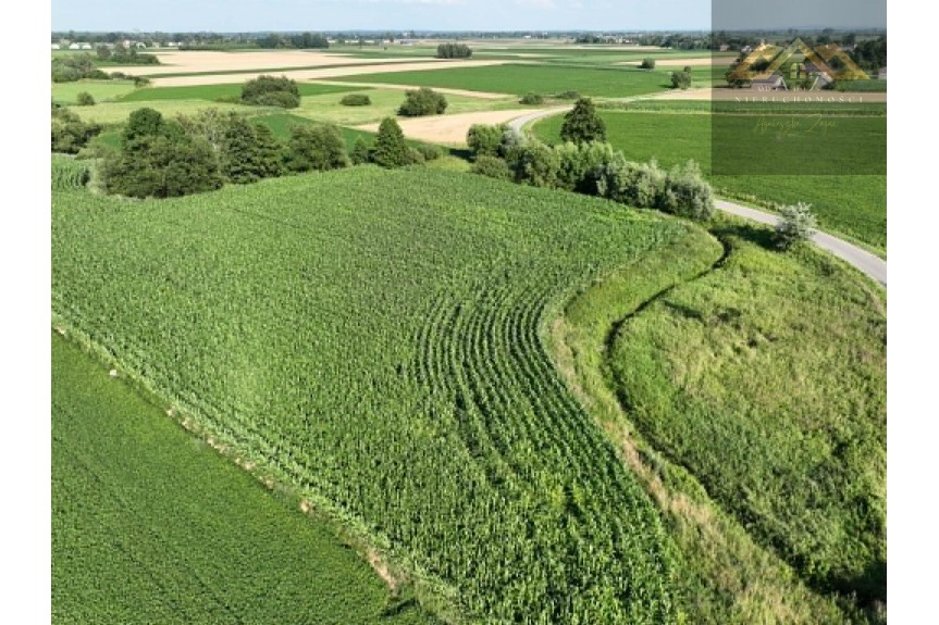 tarnowski, Wietrzychowice, Miechowice Małe, Działka rolna 80 ar&oacute;w w Miechowicach