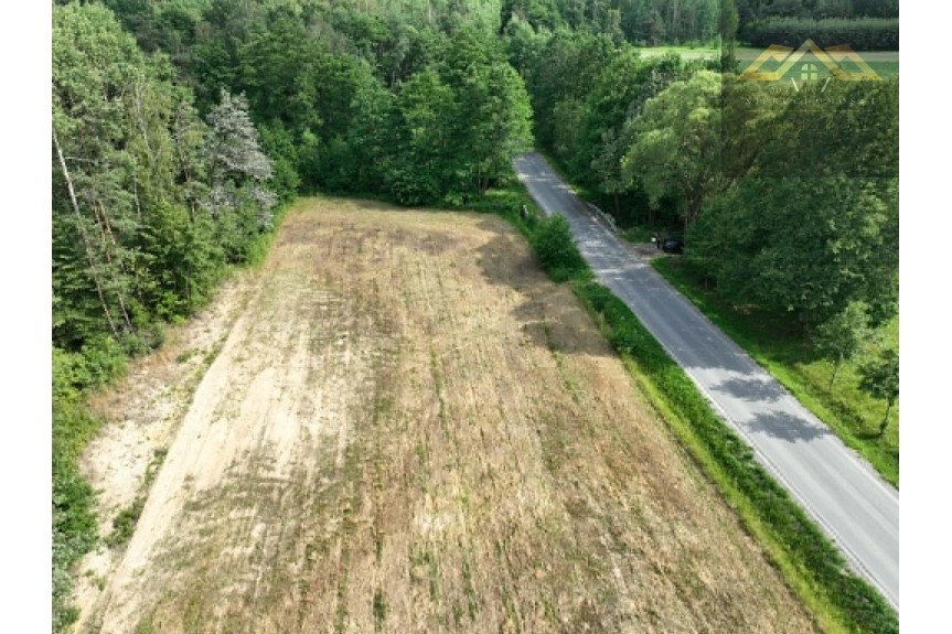 mielecki, Radomyśl Wielki, Piękna działka w otulinie lasu, 50 a, z warunkami zabudowy W&oacute;lka Dulecka
