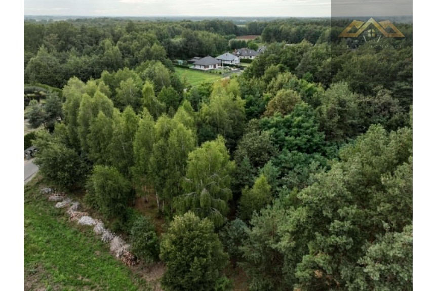 dąbrowski, Dąbrowa Tarnowska, Działka z WZ i prywatnym lasem