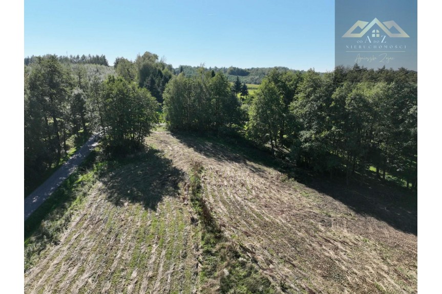 tarnowski, Skrzysz&oacute;w, Łękawica, Działka na sprzedaż