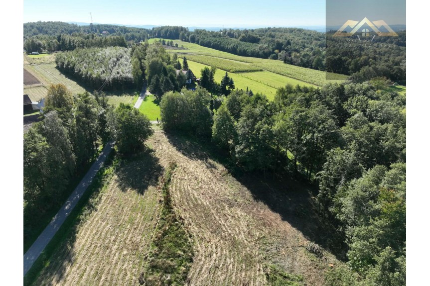 tarnowski, Skrzysz&oacute;w, Łękawica, Działka na sprzedaż
