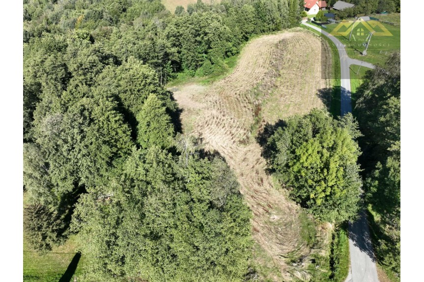 tarnowski, Skrzysz&oacute;w, Łękawica, Działka na sprzedaż